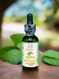 Lemon Balm