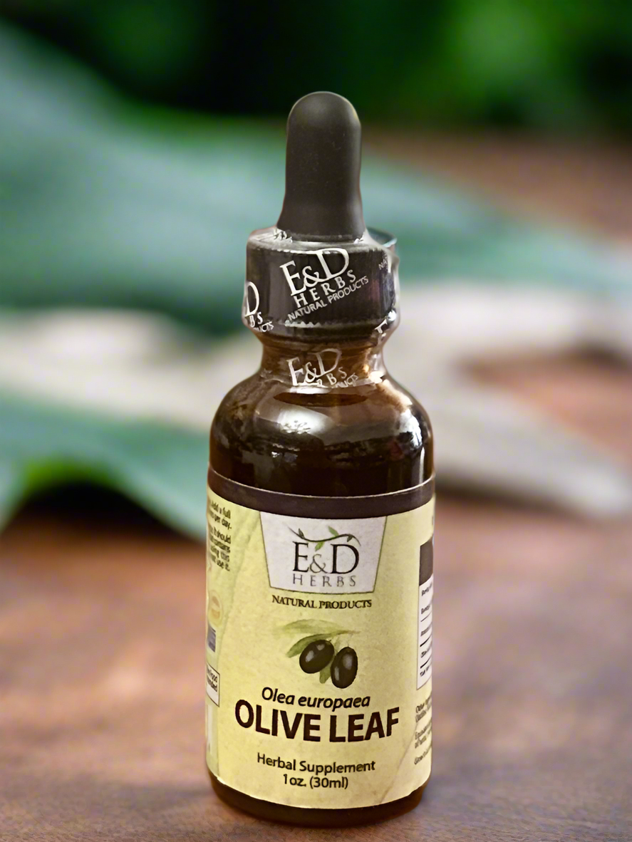 Olive Leaf