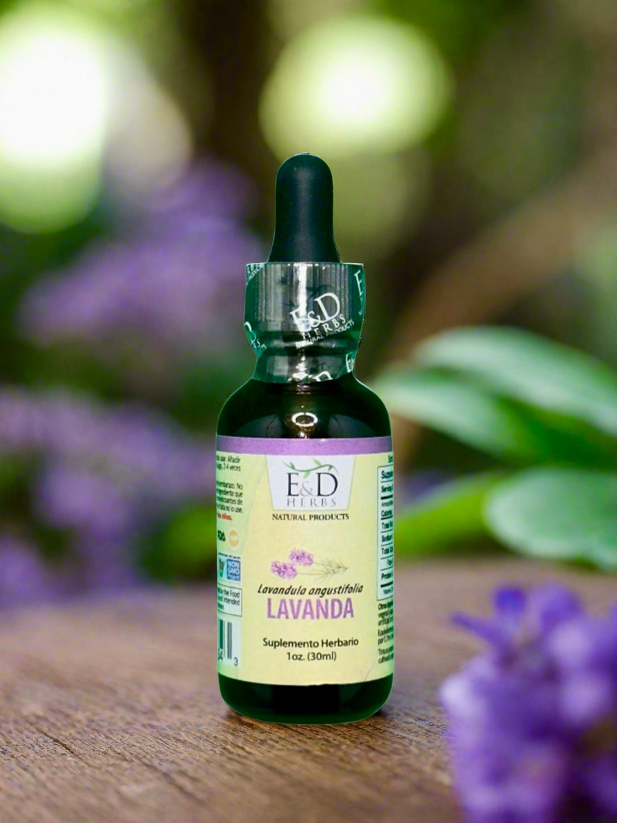 Lavanda