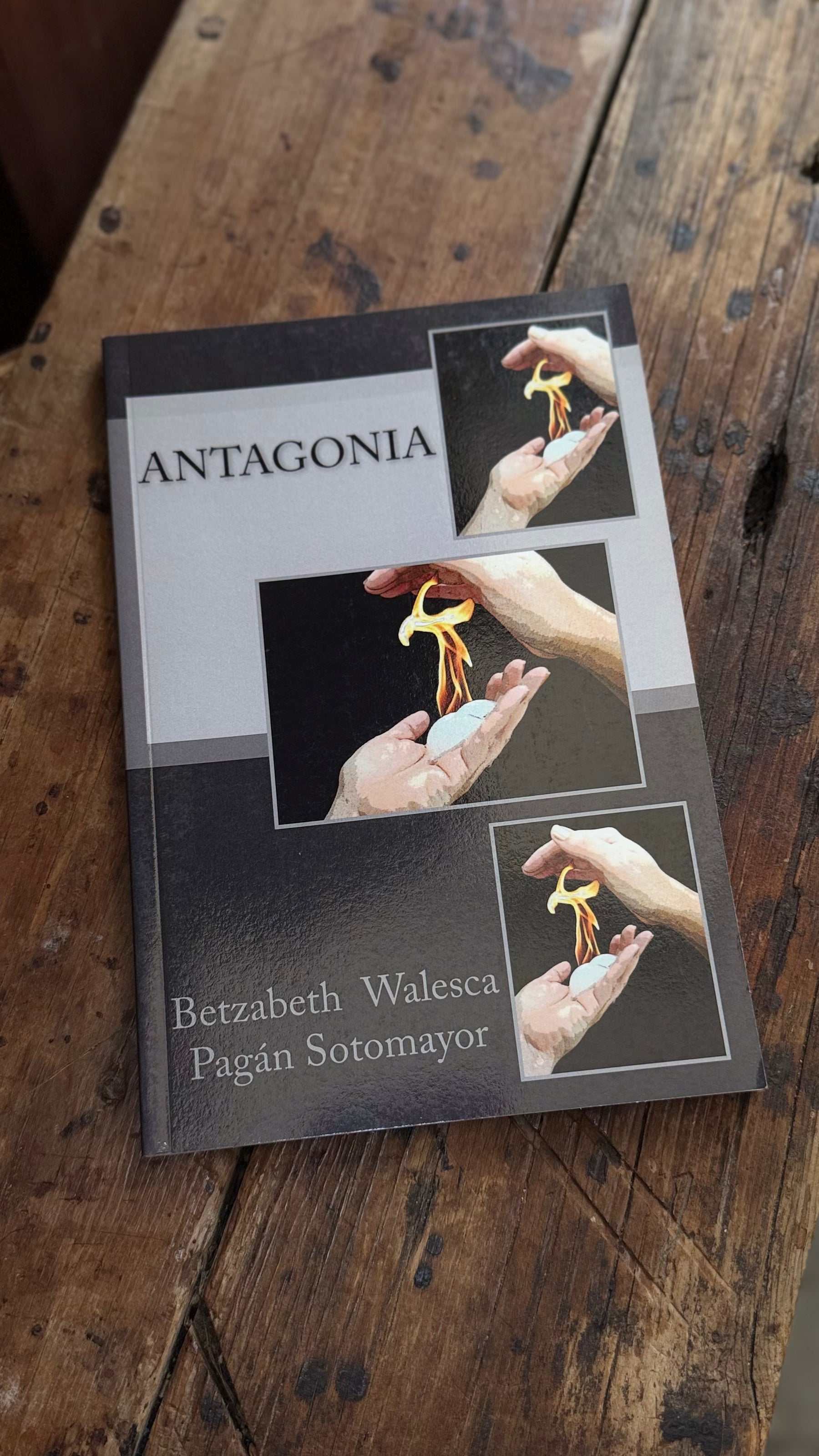 Antagonia